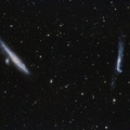 NGC 4631 + NGC 4656 - Wal- und Hockeyschläger Galaxie