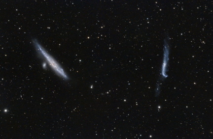 NGC 4631 + NGC 4656 - Wal- und Hockeyschläger Galaxie