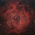 NGC 2244 - Rosettennebel