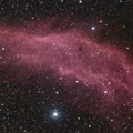 NGC 1499 - Kaliforniennebel