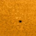 Sonne - AR2738
