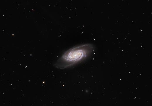 NGC 2903