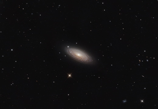 NGC 2841 - Tiger´s Eye