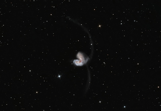 NGC 4038 und NGC 4039 - Antennen Galaxien