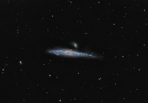 NGC 4631 - Walgalaxie