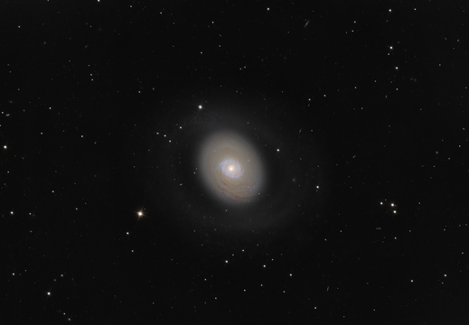 M 94 - Krokodilauge Galaxie