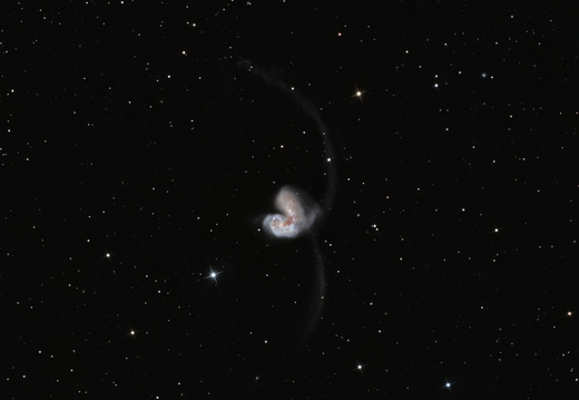 NGC 4038 und NGC 4039 - Antennengalaxien