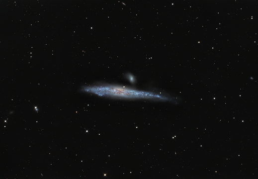 NGC 4631 - Walgalaxie